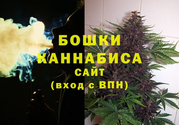 спайс Инсар