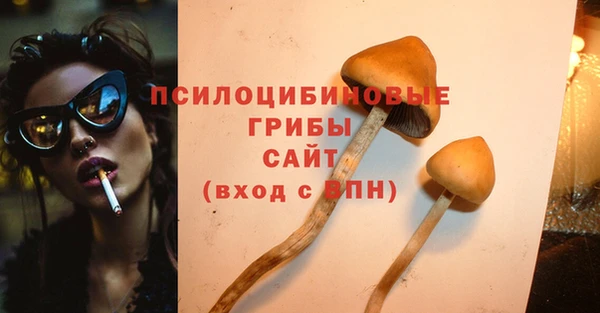 спайс Инсар