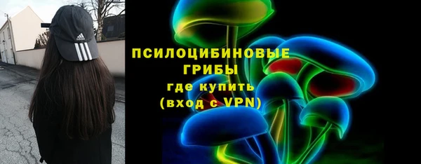 спайс Инсар