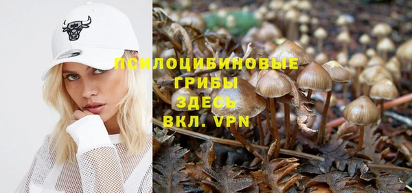 спайс Инсар