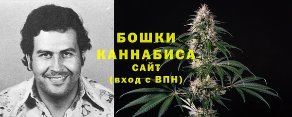 спайс Инсар