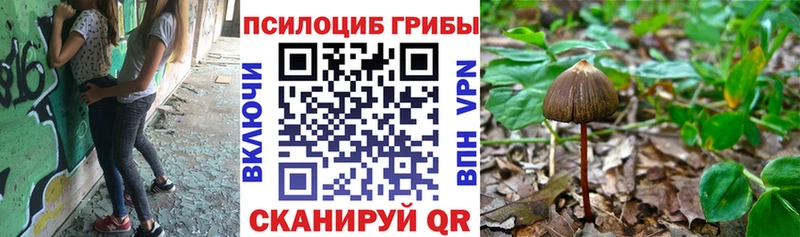 Галлюциногенные грибы Magic Shrooms Каргополь