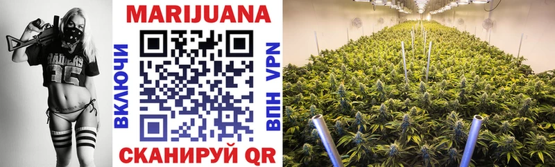 наркотики  darknet состав  Бошки марихуана конопля  Каргополь 